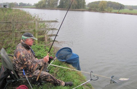 just in the net