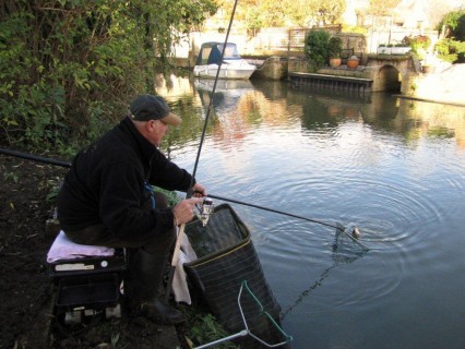 just in the net