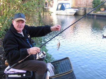 the perch and roach were feeding together