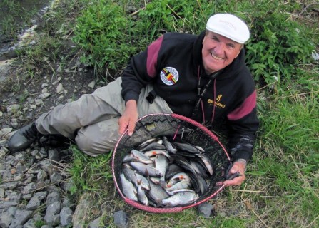 my day 2 catch about 20lbs again