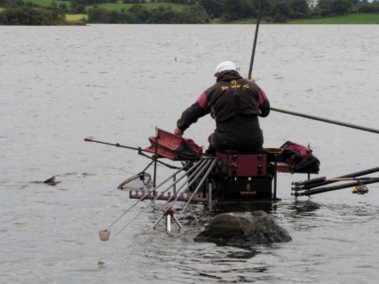 netting a good hybrid